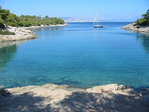 Agava * Vrboska